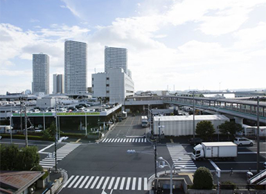 横浜市中央卸市場　本場