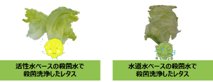 活性水素水の役割と効能